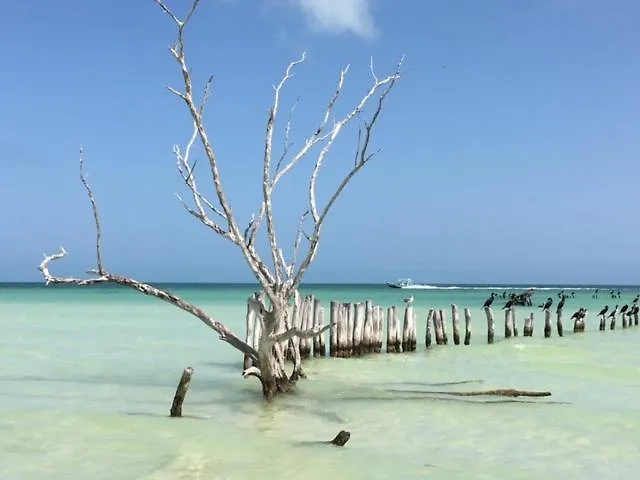 Casa Hridaya Hotel Boutique Isla Holbox