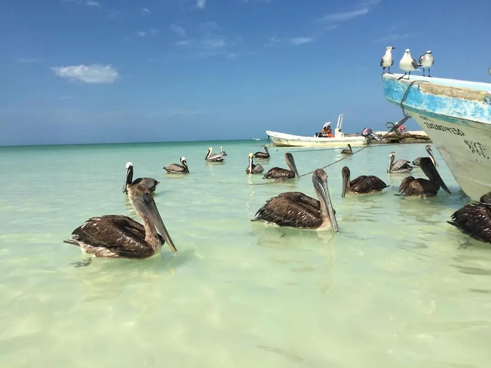 Casa Hridaya Hotel Boutique Isla Holbox