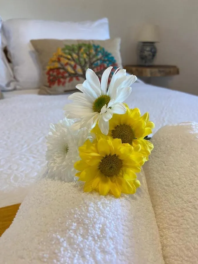 Casa Hridaya Hotel Boutique Holbox