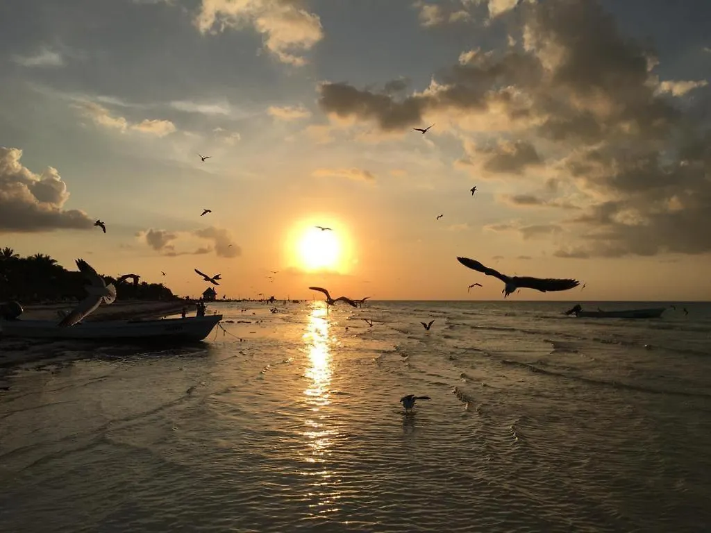 Casa Hridaya Hotel Boutique Isla Holbox 4*,